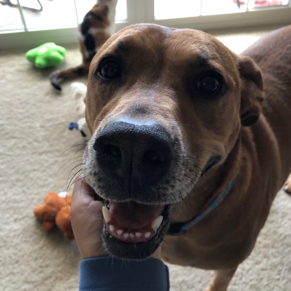 Meet your Posher, Melanie